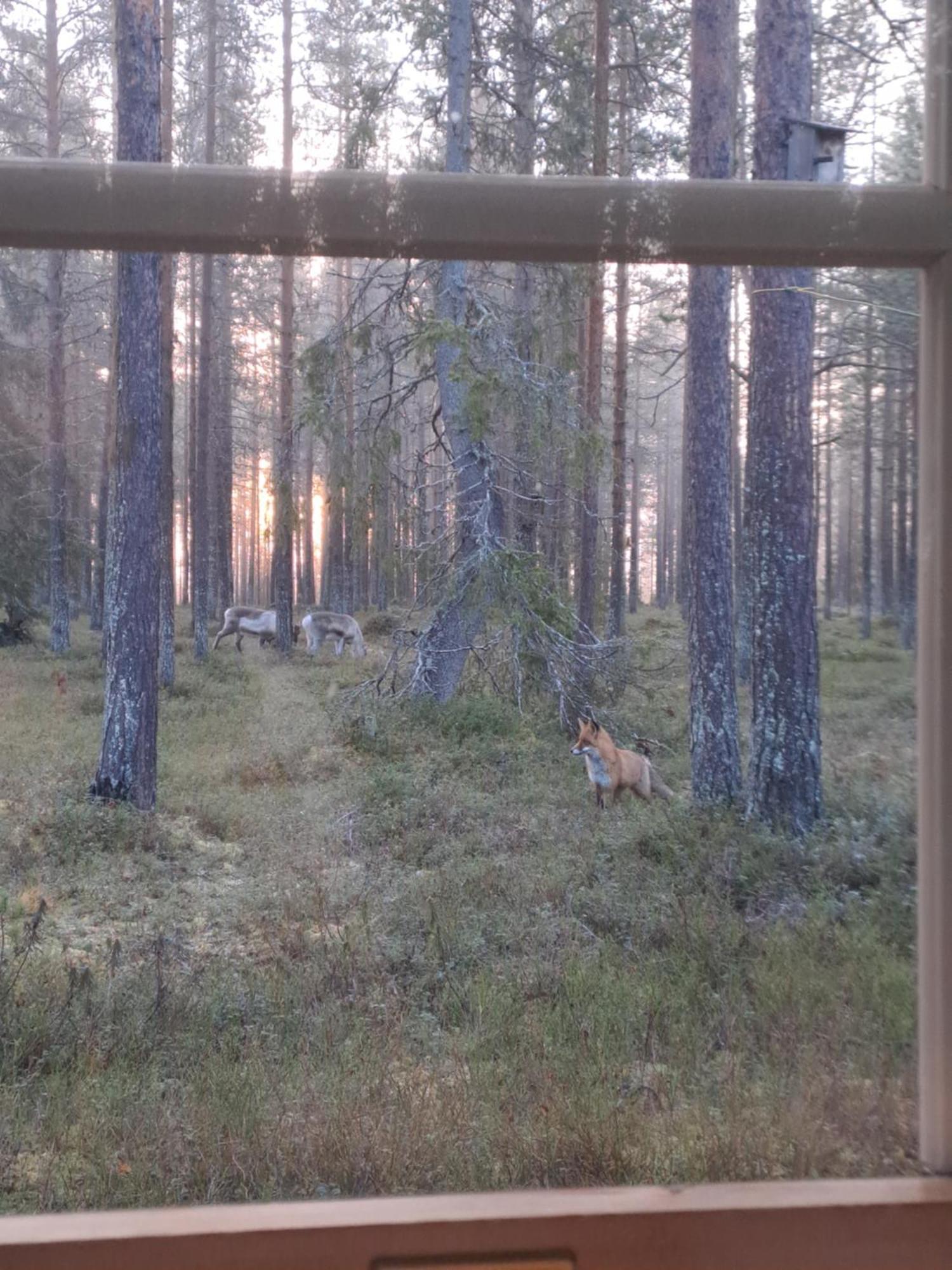 Appartamento Yllaes Nilimaja Ylläsjärvi Esterno foto
